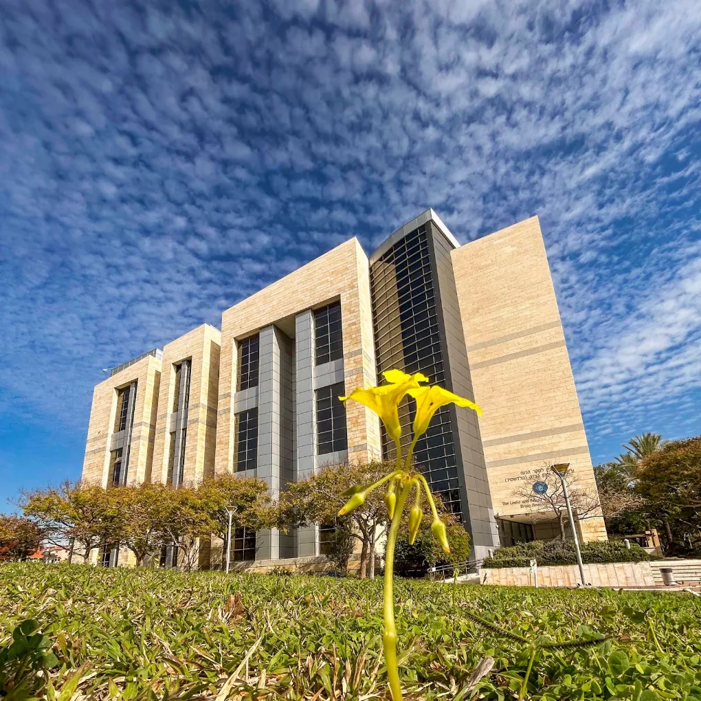 Bar Ilan University